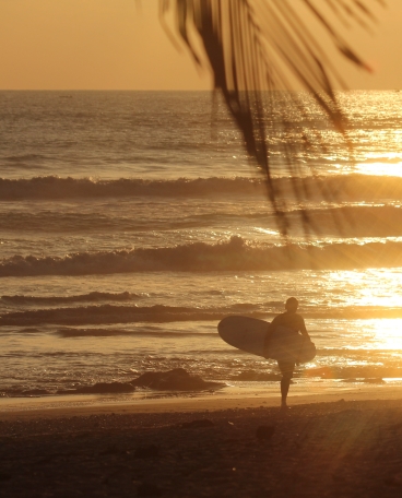 sunset surfer